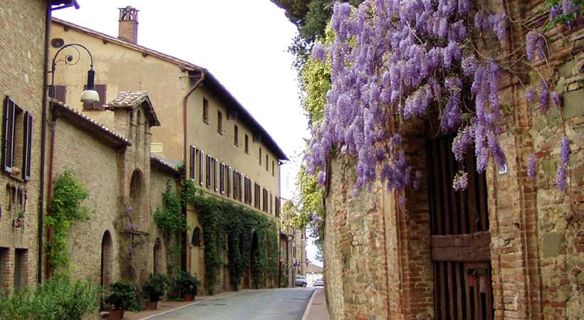 Luoghi di … vini: Torgiano