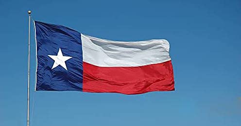 Bucce di patate fritte in salsa di fagioli rossi&nbsp;(Texas)