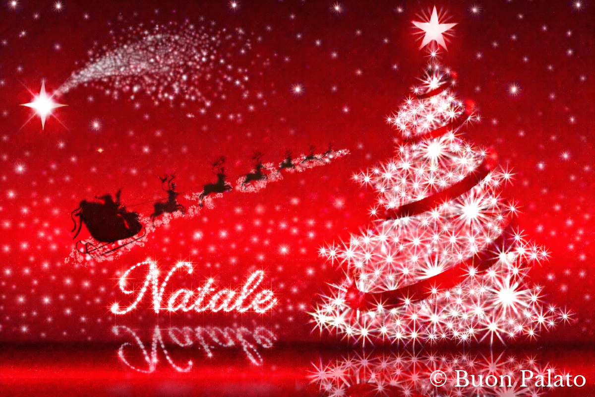 Ricciarelli (Siena – Toscana)