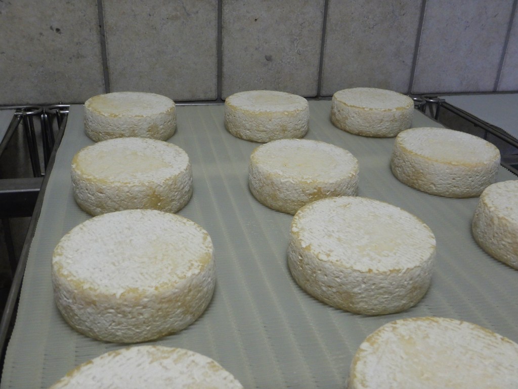 Murazzano (Piemonte)